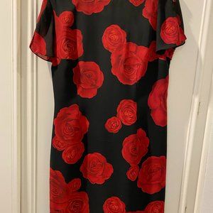 Black and Red Dress-12 petite